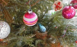 [my bird]